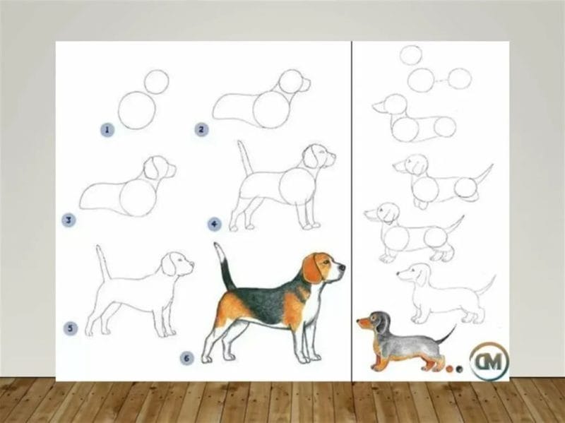 180 рисунков собаки карандашом и не только #87