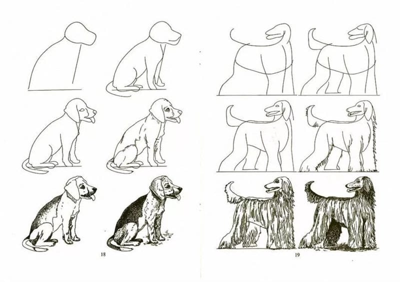 180 рисунков собаки карандашом и не только #83