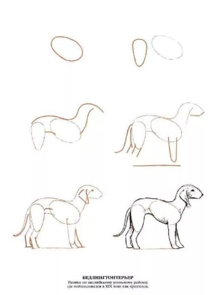 180 рисунков собаки карандашом и не только #66