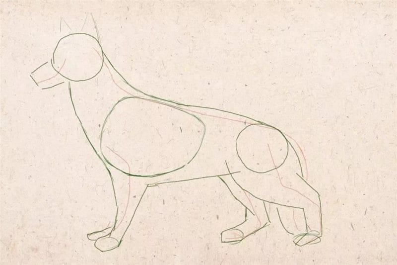 180 рисунков собаки карандашом и не только #65