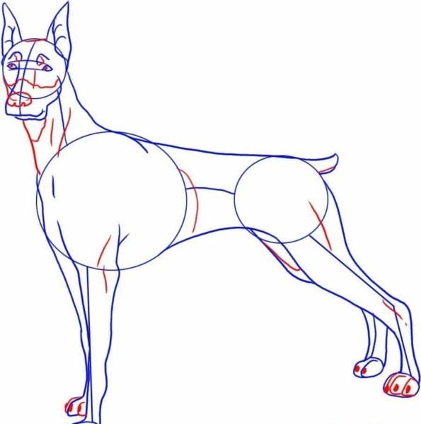 180 рисунков собаки карандашом и не только #6