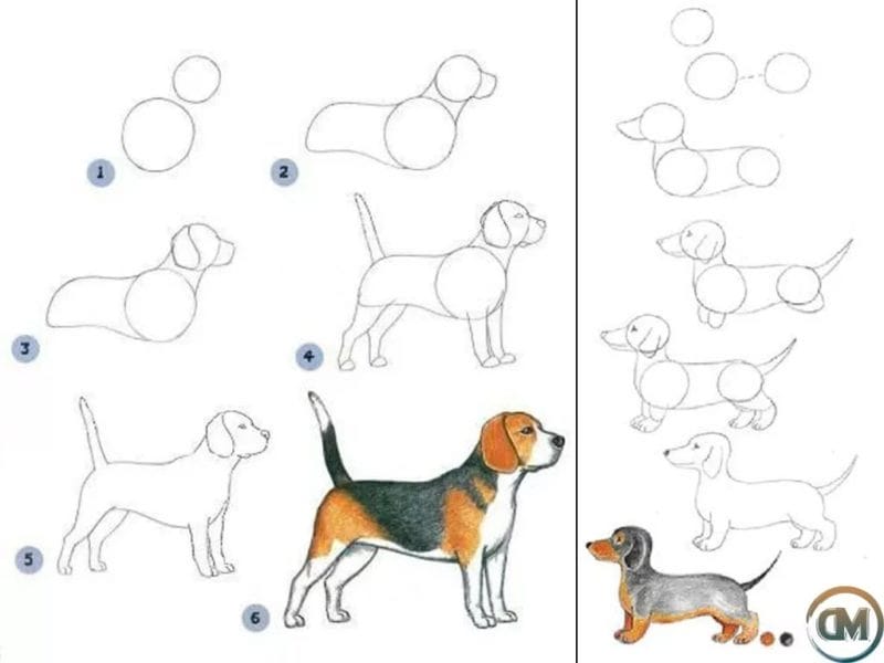 180 рисунков собаки карандашом и не только #4