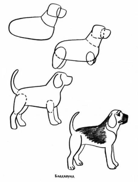180 рисунков собаки карандашом и не только #41