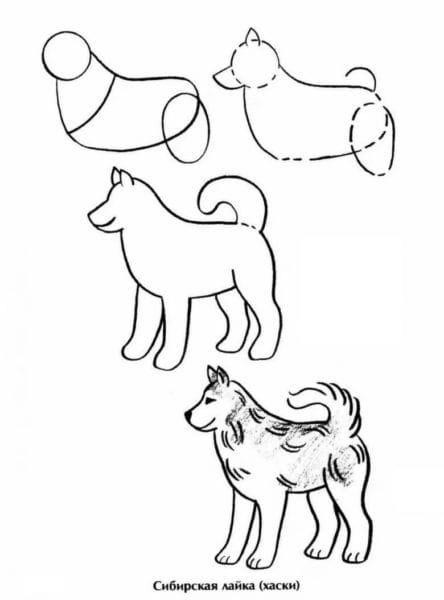 180 рисунков собаки карандашом и не только #45