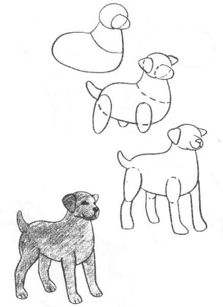 180 рисунков собаки карандашом и не только #51