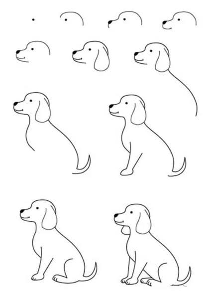 180 рисунков собаки карандашом и не только #7