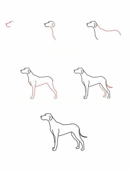 180 рисунков собаки карандашом и не только #55