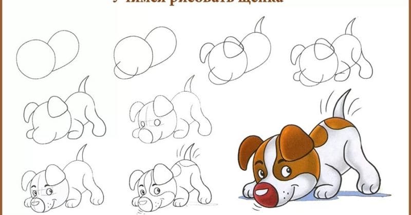 180 рисунков собаки карандашом и не только #180