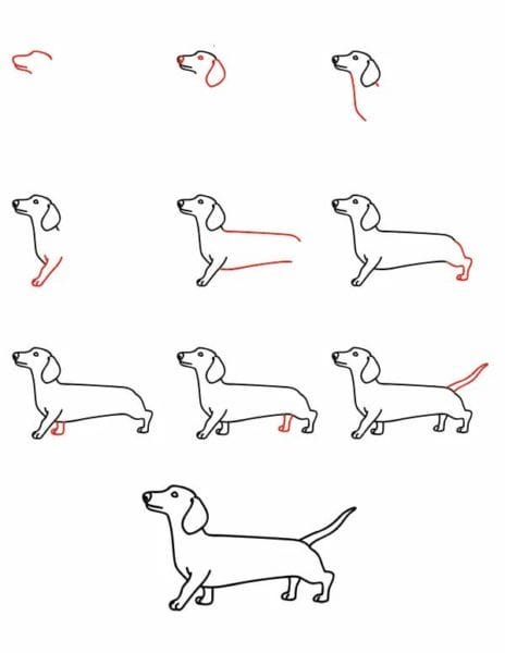 180 рисунков собаки карандашом и не только #179