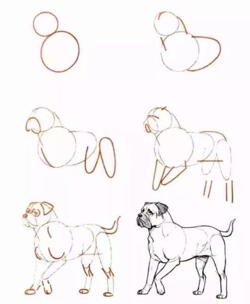 180 рисунков собаки карандашом и не только #175