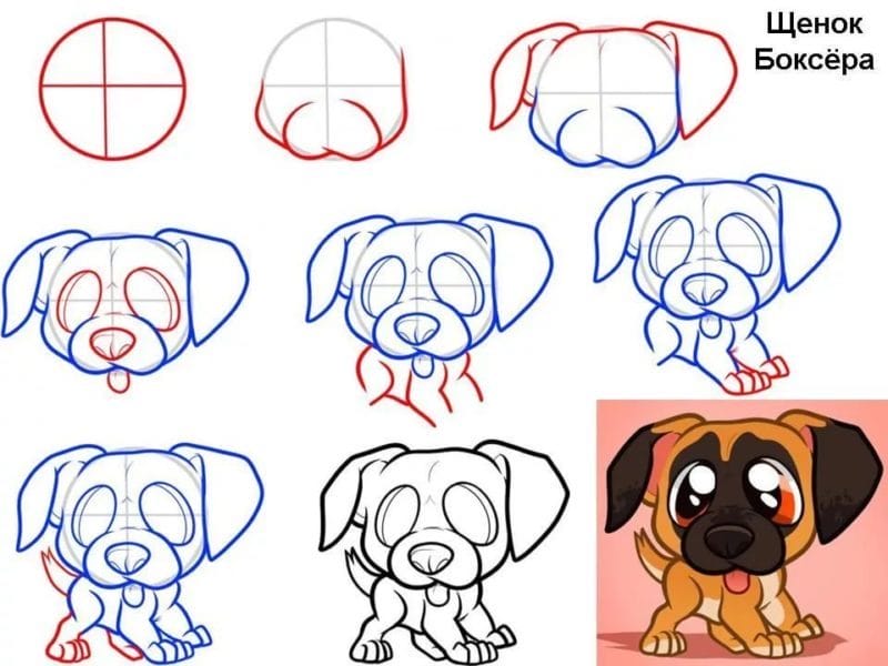 180 рисунков собаки карандашом и не только #10