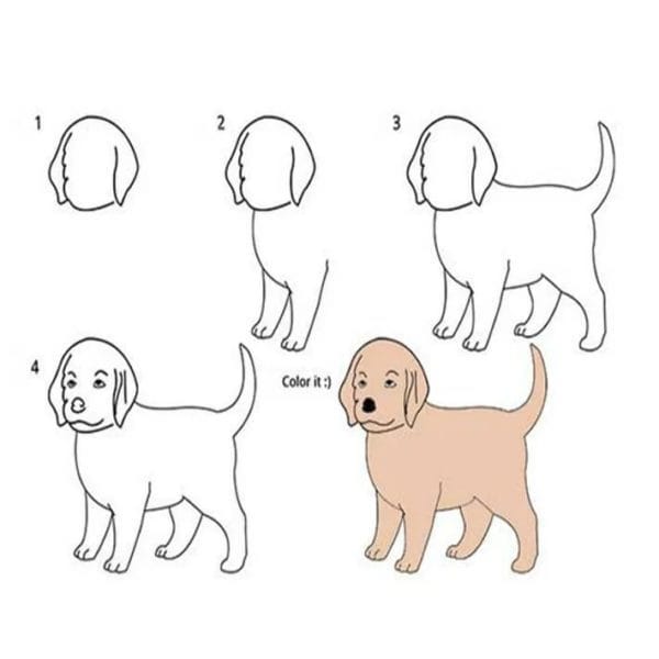 180 рисунков собаки карандашом и не только #167