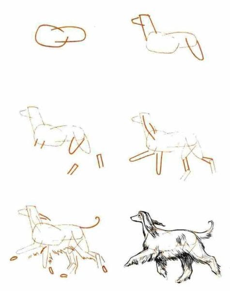 180 рисунков собаки карандашом и не только #154