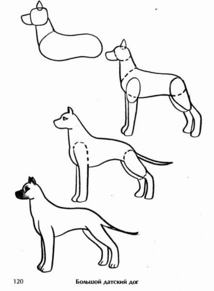 180 рисунков собаки карандашом и не только #145