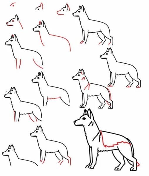 180 рисунков собаки карандашом и не только #140