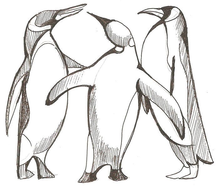 Пингвин 3 6. Зарисовка пингвина. Пингвин рисунок карандашом. Пингвин набросок. Рисунки карандашом на свободную тему.
