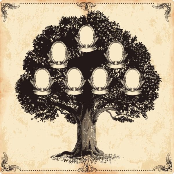 Древо семьи: 80 шаблонов семейного дерева #22