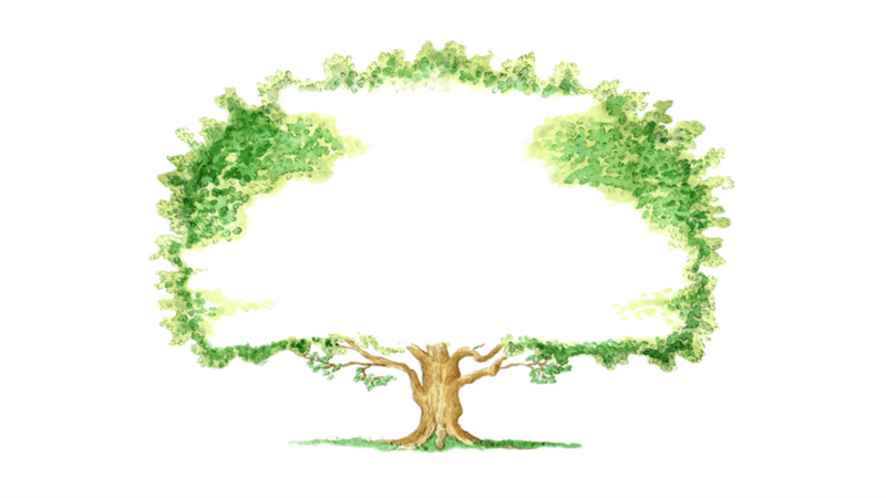 Древо семьи: 80 шаблонов семейного дерева #38