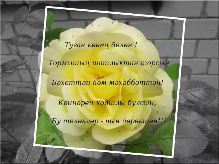 С днем рождения! 95 открыток на татарском #69