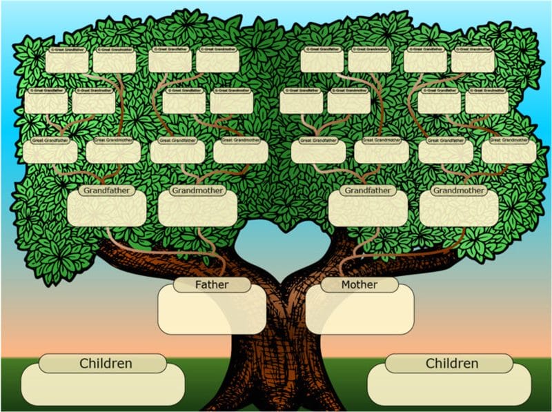 Древо семьи: 80 шаблонов семейного дерева #53