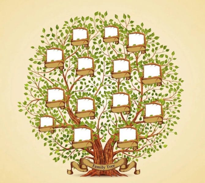 Древо семьи: 80 шаблонов семейного дерева #45