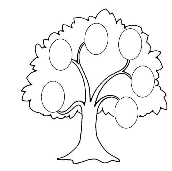 Древо семьи: 80 шаблонов семейного дерева #78