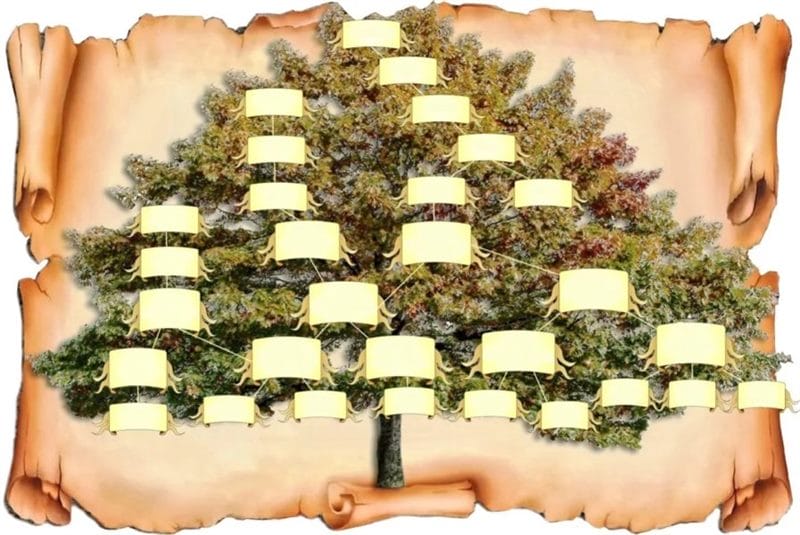 Древо семьи: 80 шаблонов семейного дерева #77