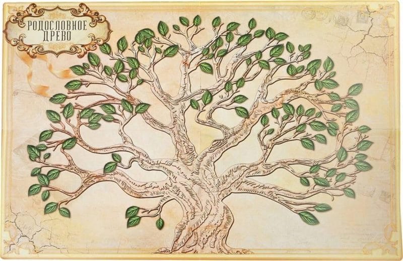 Древо семьи: 80 шаблонов семейного дерева #48