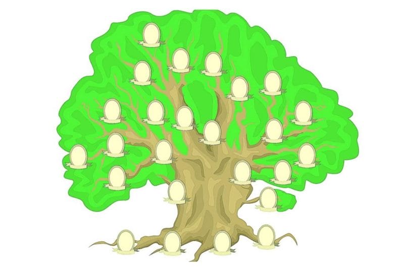 Древо семьи: 80 шаблонов семейного дерева #66