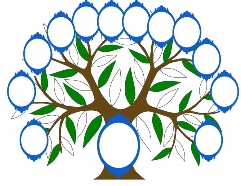 Древо семьи: 80 шаблонов семейного дерева #9