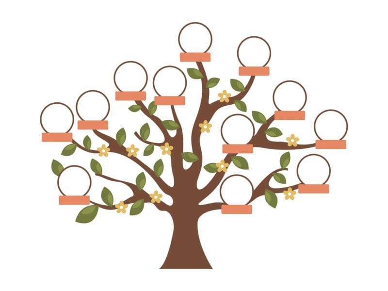 Древо семьи: 80 шаблонов семейного дерева #64