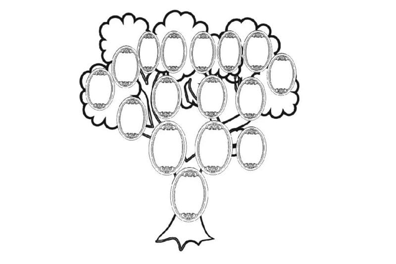 Древо семьи: 80 шаблонов семейного дерева #62