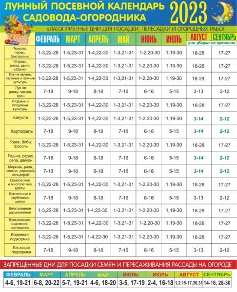 23 лунных календаря огородника на 2023 год. Урожай будет! #3