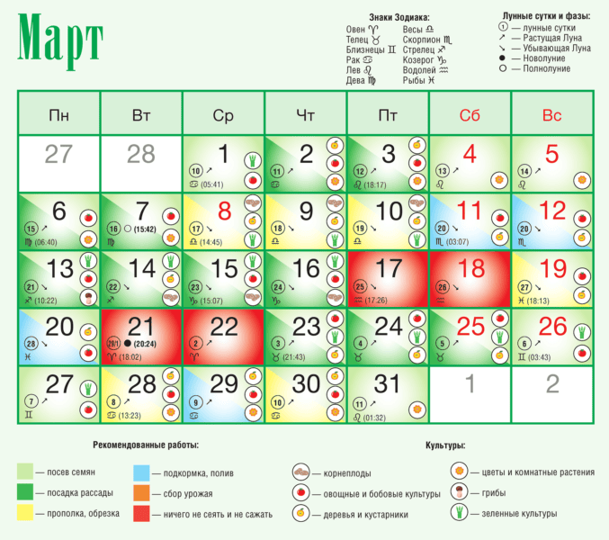 23 лунных календаря огородника на 2023 год. Урожай будет! #6