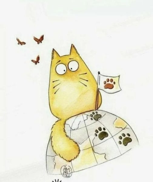 215 прикольных рисунков котов и кошек #108