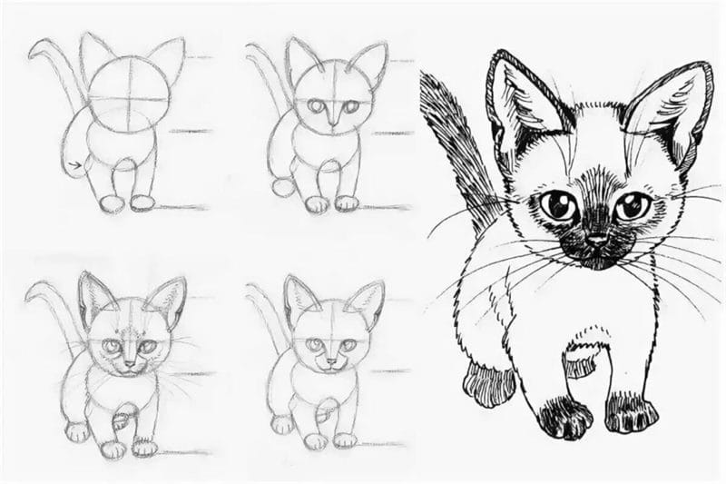 215 прикольных рисунков котов и кошек #211