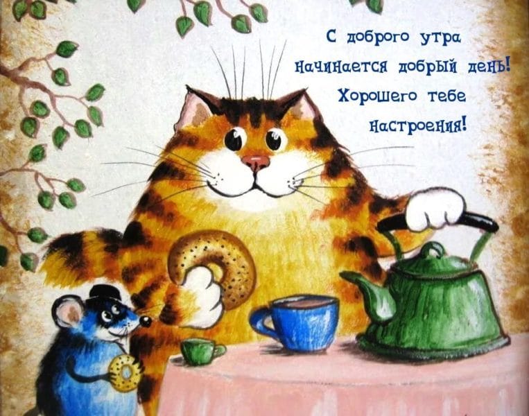 100 открыток с добрым утром с котятами и кошками #65