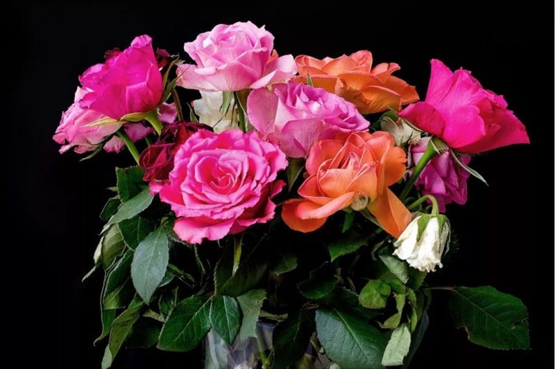 Букеты роз: 180 красивых картинок #55