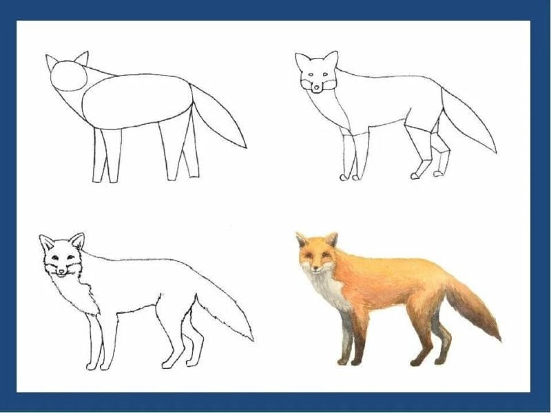 150 легких рисунков животных карандашами и не только #64