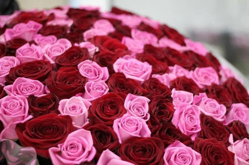 Букеты роз: 180 красивых картинок #108