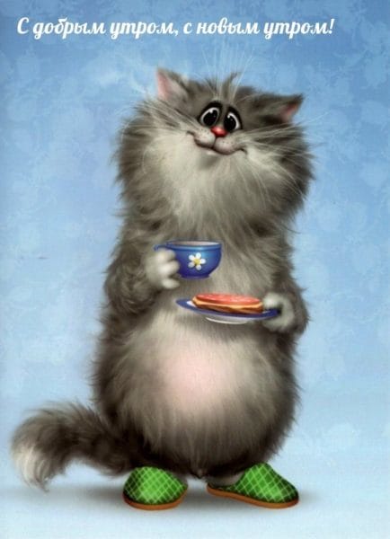 100 открыток с добрым утром с котятами и кошками #72