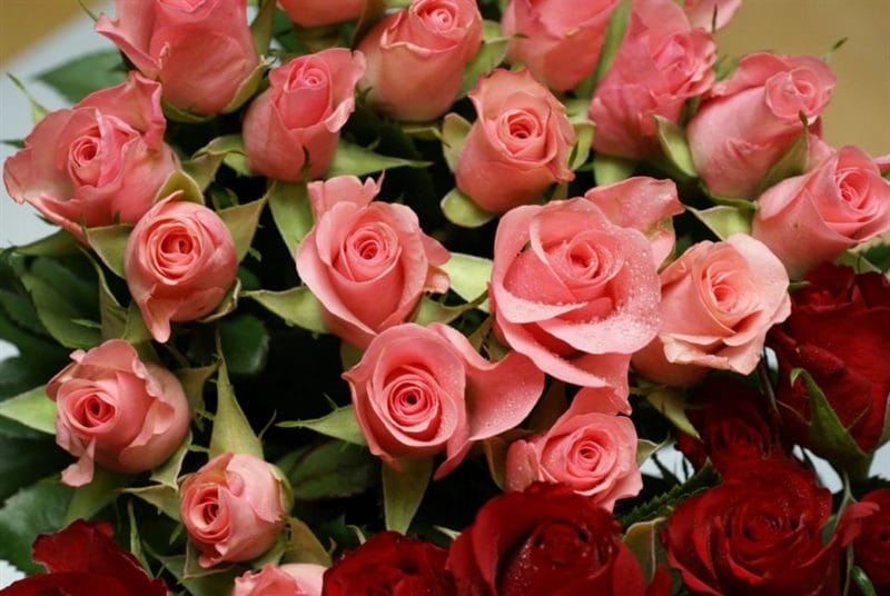Букеты роз: 180 красивых картинок #110