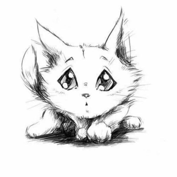 215 прикольных рисунков котов и кошек #114