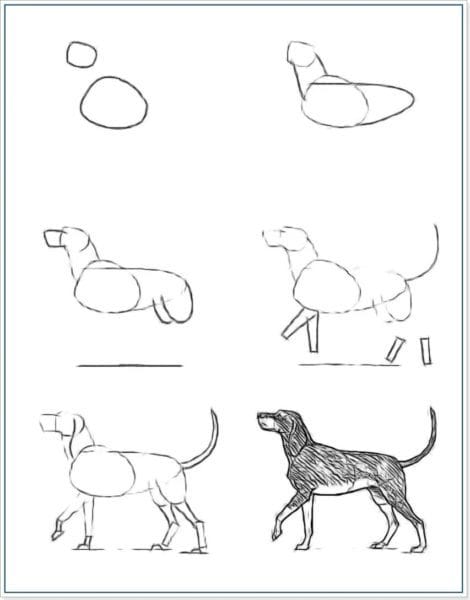 150 легких рисунков животных карандашами и не только #94