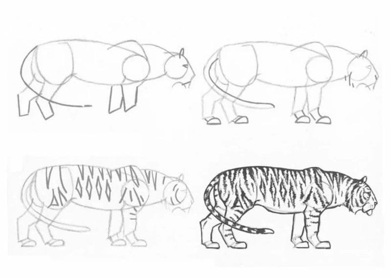150 легких рисунков животных карандашами и не только #106