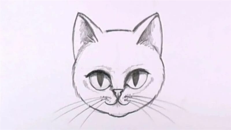 215 прикольных рисунков котов и кошек #2