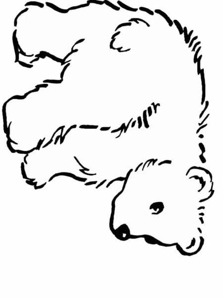 105 трафаретов и шаблонов медведя #97