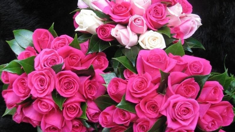 Букеты роз: 180 красивых картинок #82