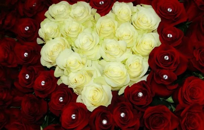 Букеты роз: 180 красивых картинок #51
