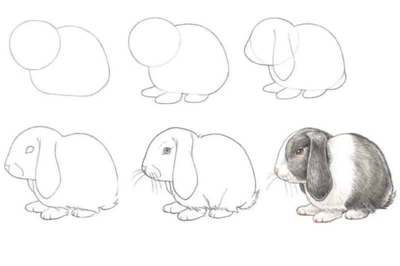 150 легких рисунков животных карандашами и не только #9